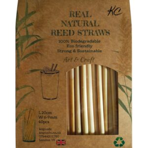 Natural Reed Drinking Straws Eco Friendly Biodegradable Box of 40 Straws 3 boxes