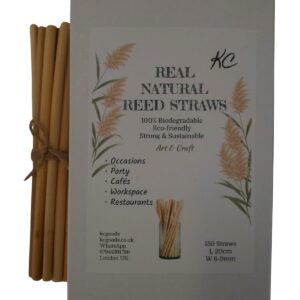 Natural Reed Drinking Straws Eco Friendly Biodegradable Box of 150 Straws